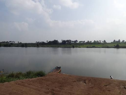 Krishna River